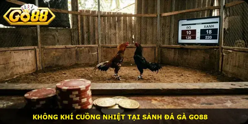 Đá Gà Philippines Go88 sở hữu nhiều đặc điểm giúp trò chơi tạo được sức hút riêng
