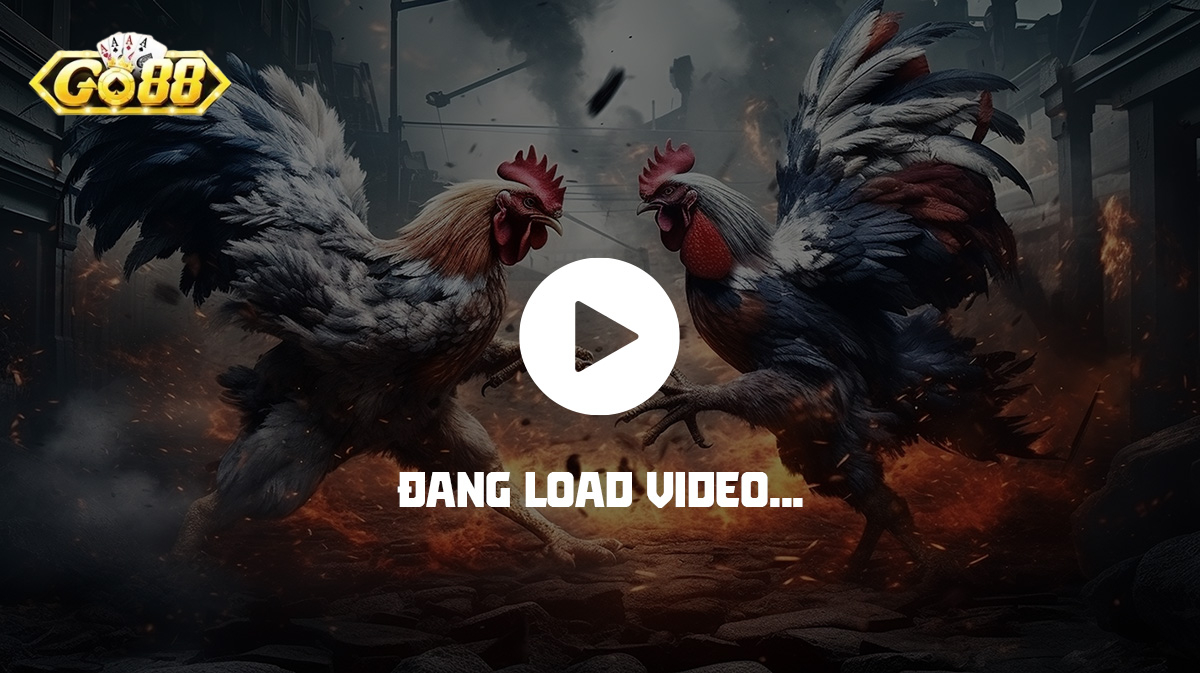 Người chơi  nên lưu ý lựa chọn nền tảng có hệ thống vận hành ổn định và minh bạch