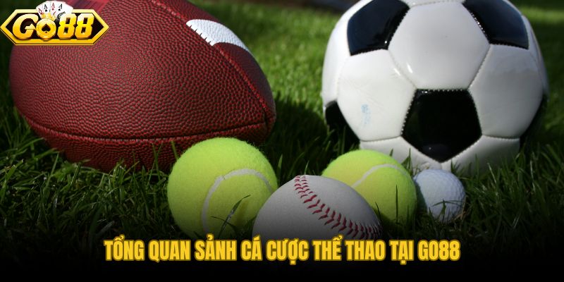 Những Điểm Cốt Lõi Tạo Nên Sức Hút Của Thể Thao Go88